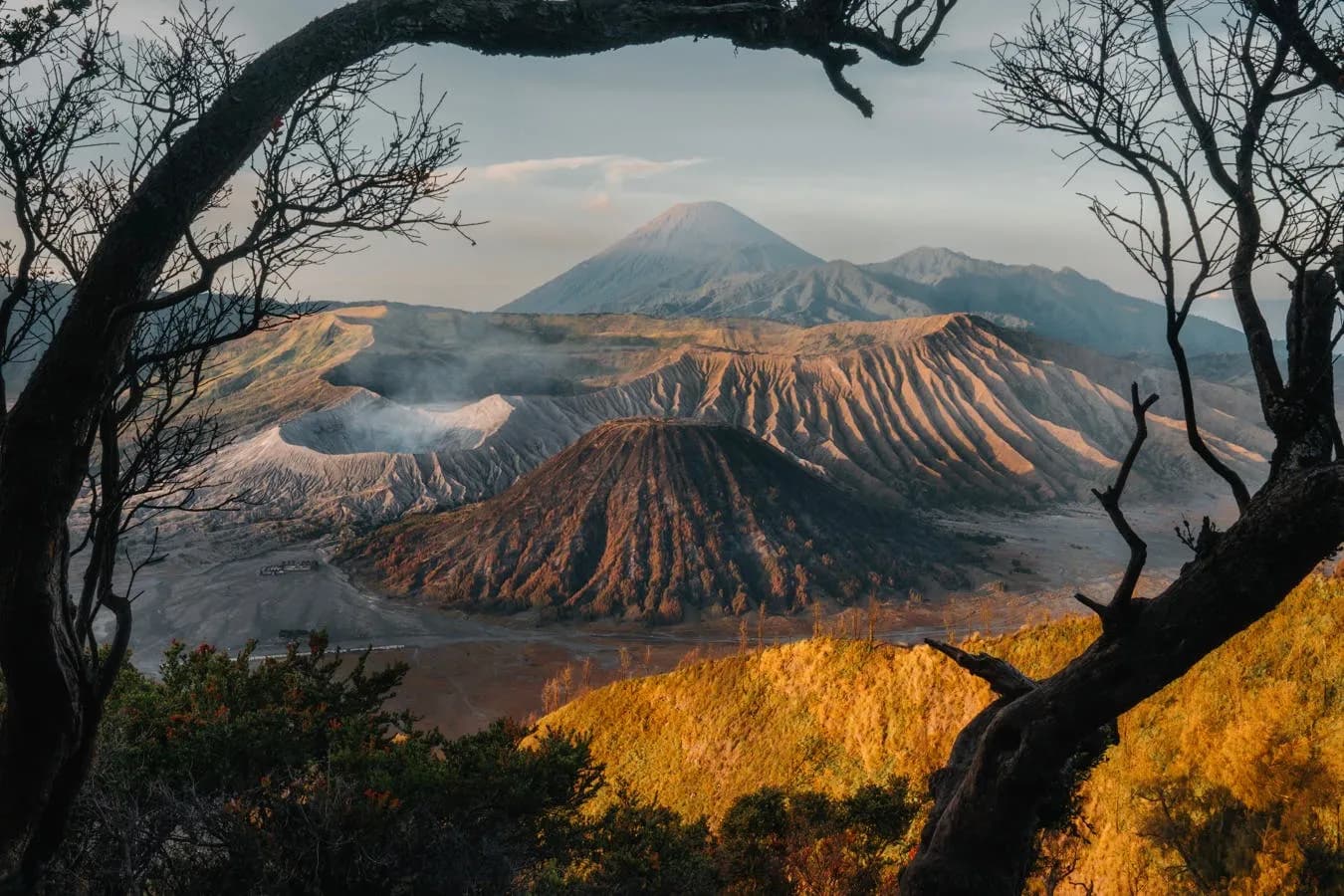 Mt Bromo: Everything You Need to Know Before You Go (2026)